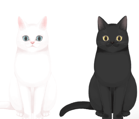 猫咪-黑与白-立绘-星灵AI-人设网